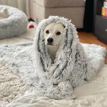 Lataa kuva Galleria-katseluun, MrFluffyFriend® - Ahdistusta lievittävä Pehmoinen lemmikkipeitto