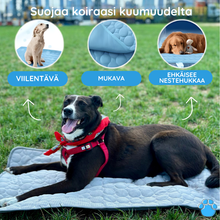 Lataa kuva Galleria-katseluun, Viilentävä koirien makuualusta - MrFluffyFriend®