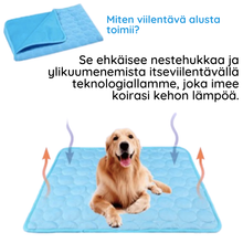 Lataa kuva Galleria-katseluun, Viilentävä koirien makuualusta - MrFluffyFriend®