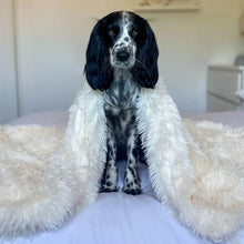 Lataa kuva Galleria-katseluun, MrFluffyFriend® - Ahdistusta lievittävä Pehmoinen lemmikkipeitto