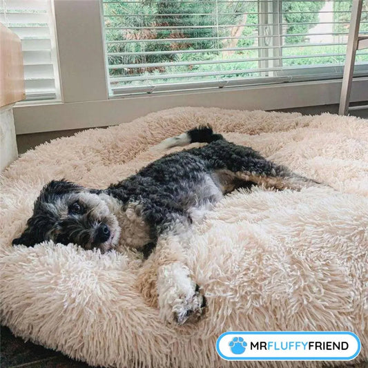 lemmikilläsi on tarvetta ahdistusta estävälle pedille