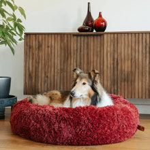 Lataa kuva Galleria-katseluun, MrFluffyFriend™ – Rauhoittava ja Pestävä Koiran peti
