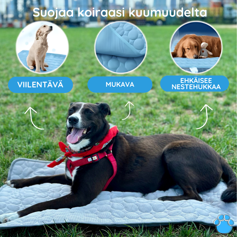 Viilentävä koirien makuualusta - MrFluffyFriend®
