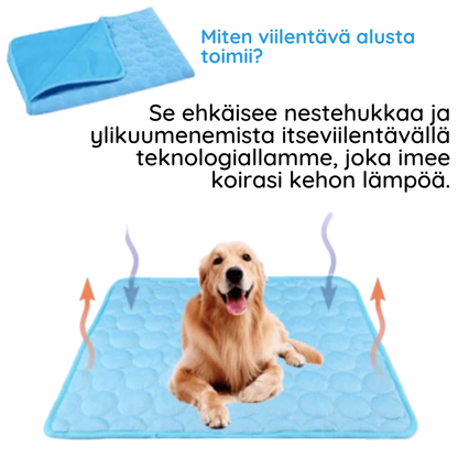 Viilentävä koirien makuualusta - MrFluffyFriend®