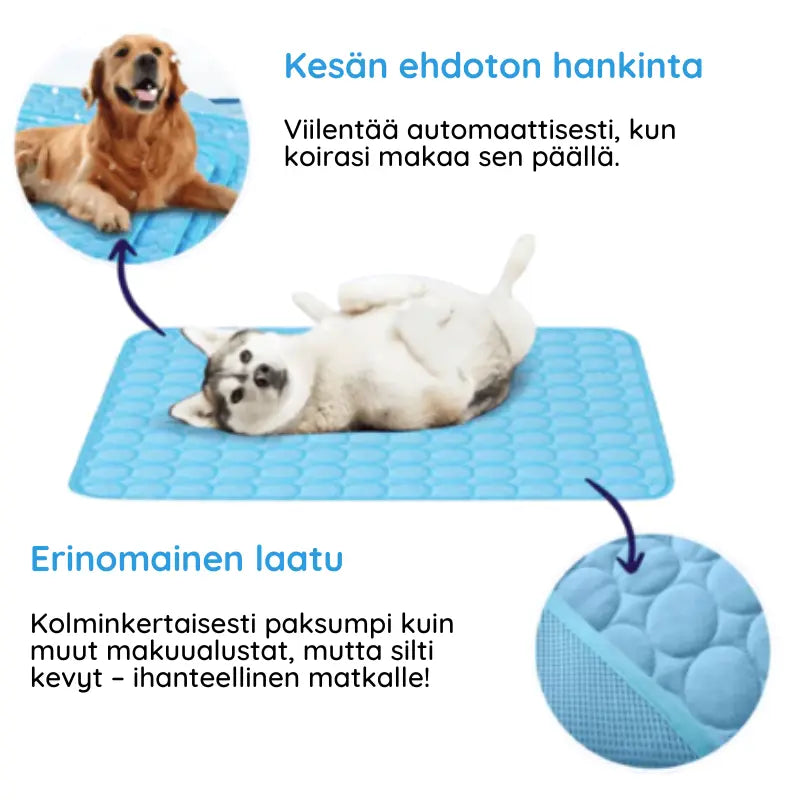 Viilentävä koirien makuualusta - MrFluffyFriend™
