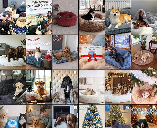Kollaasi asiakkaiden lähettämistä valokuvista, joissa lemmikit (koirat, kissat) poseeraavat MrFluffyFriend-tuotteiden kanssa