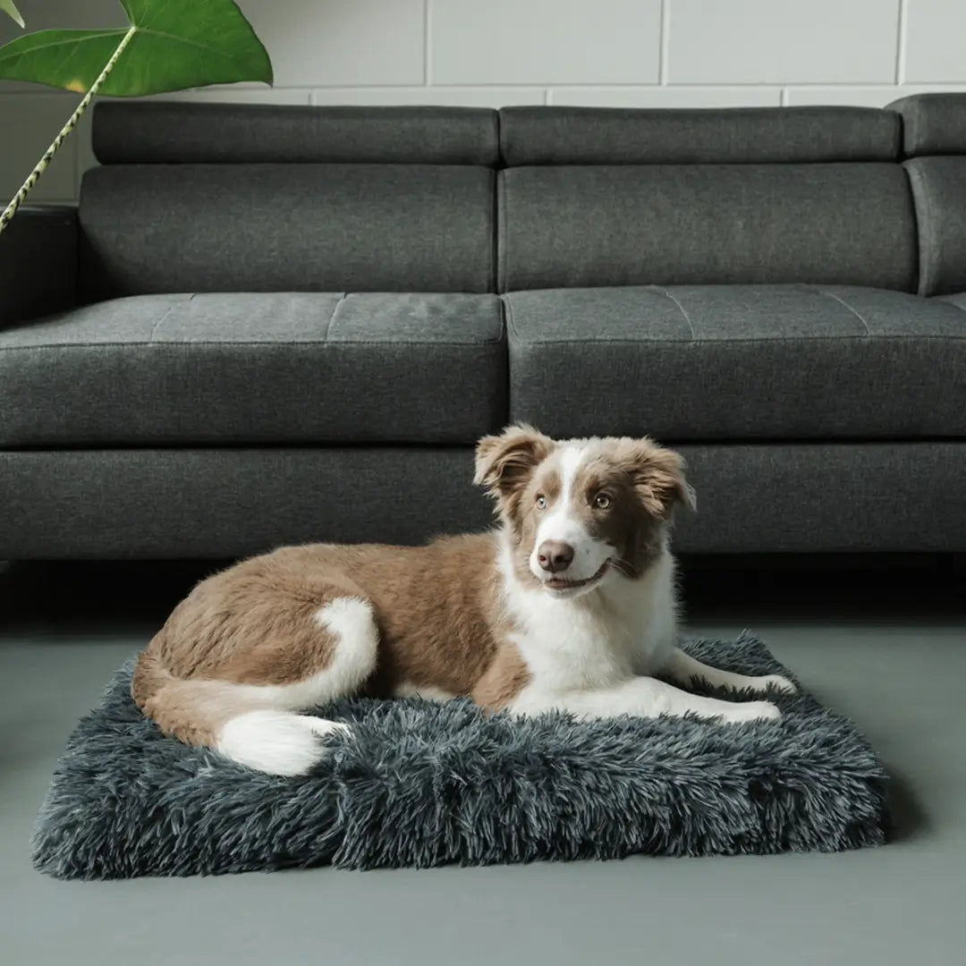 MrFluffyFriend® - Ortopedinen ja Pestävä Koiran peti