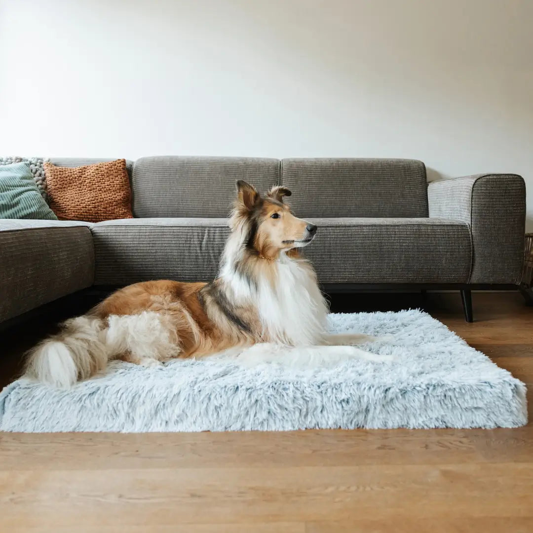 MrFluffyFriend® - Ortopedinen ja Pestävä Koiran peti