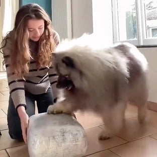 Scr 20250606 hrds mff e52463af ddde 4160 9cf0 806755d9f84f 2